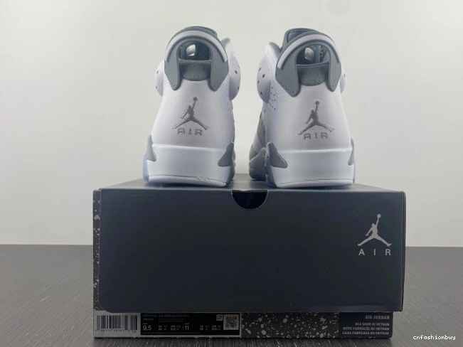 Jordan Grey Cool 6 Air CT8529-100 1031